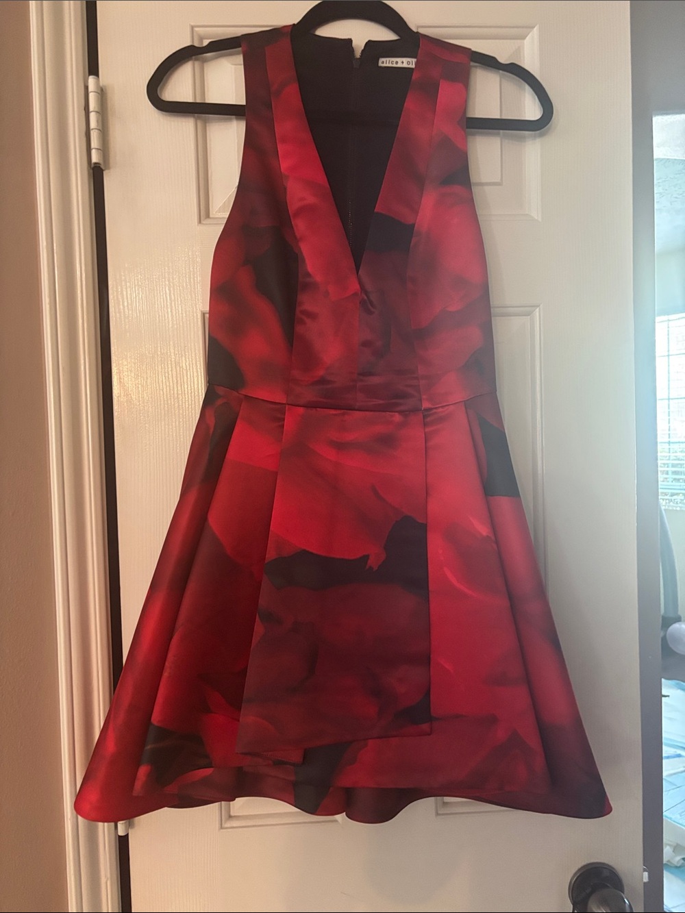 Alice + Olivia Red and Black Floral V-Neck Fit-and-Flare Dress